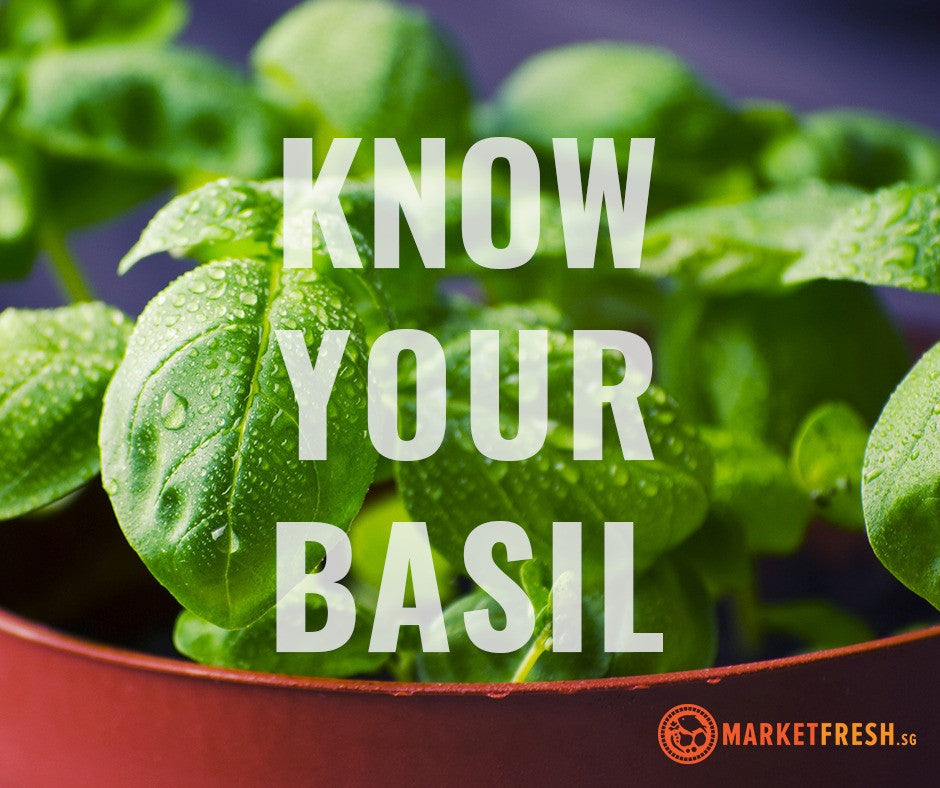 Know your herbs Basil The Sweet The Hot and The Lemon