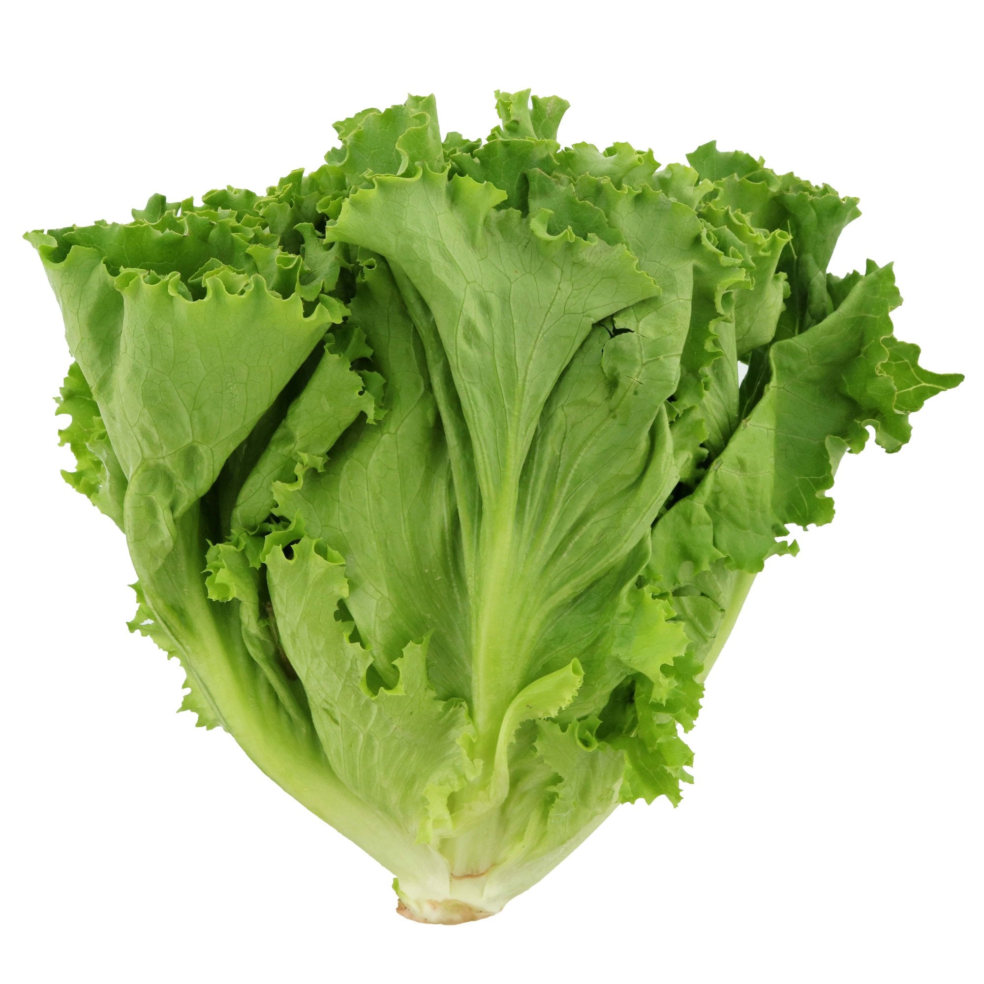 Chinese Lettuce Market Fresh Singapore Online Wet Market