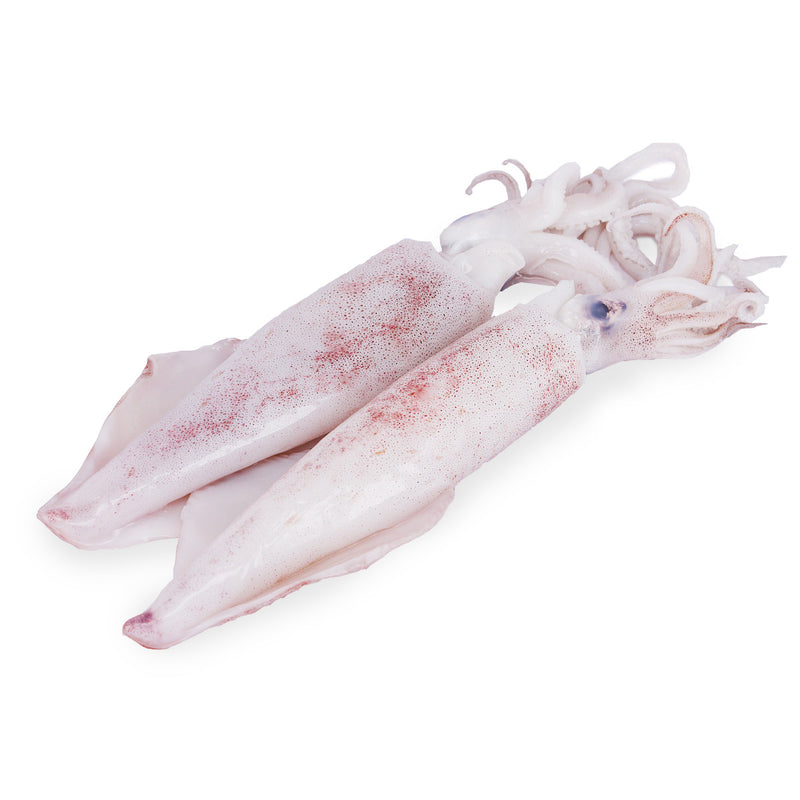 Squid / Sotong (500g)