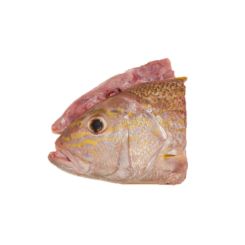 AngKoli Fish Head