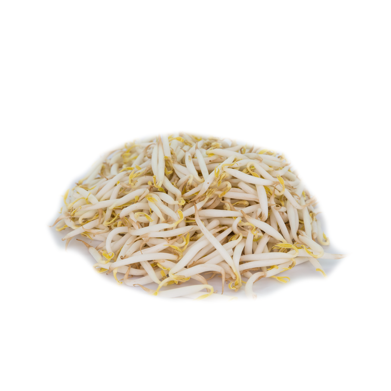 Bean Sprouts (豆芽)