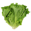Lettuce (生菜) [~200G]