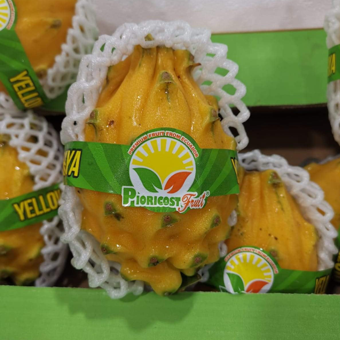 Yellow Dragonfruit (1pc)
