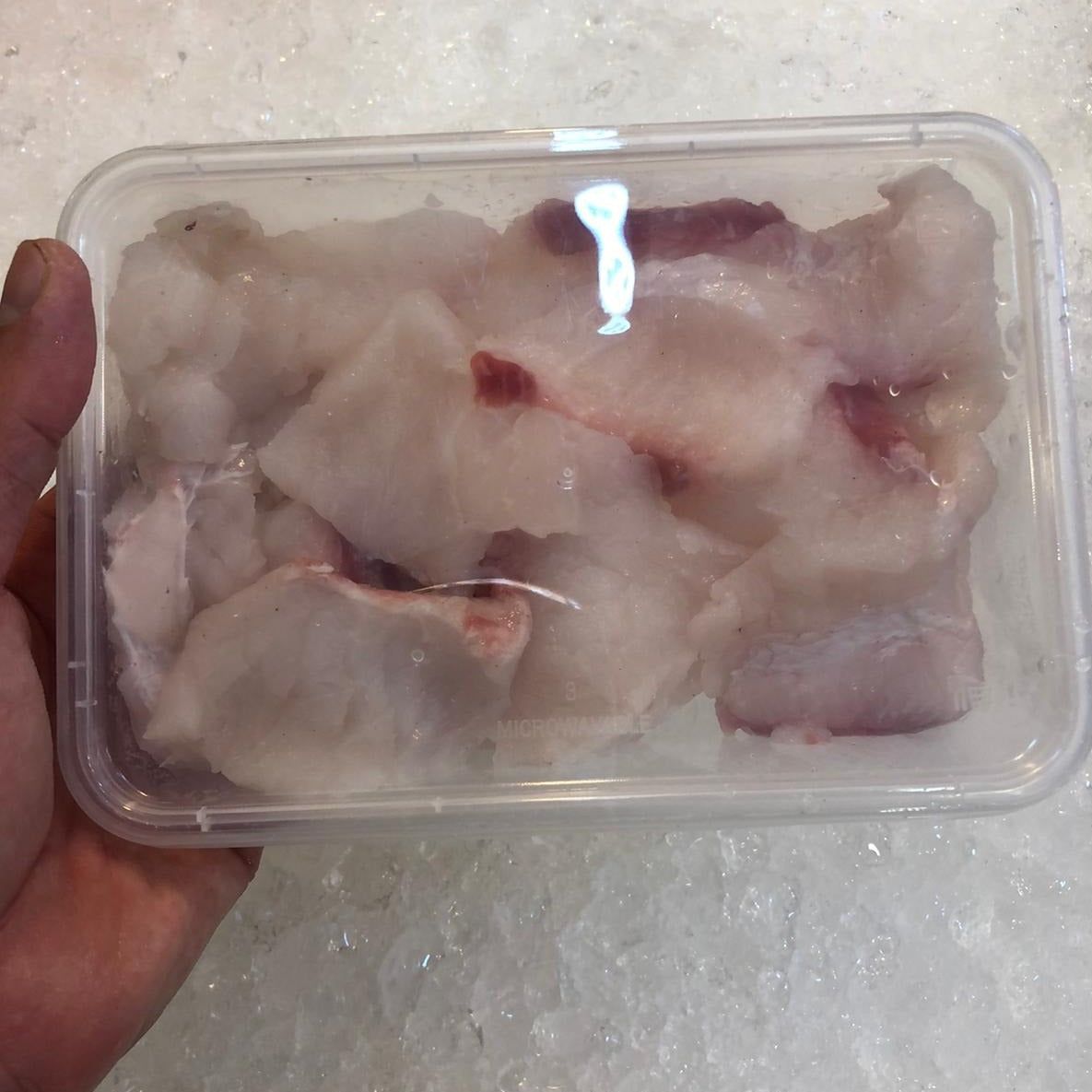 Godzilla grouper (Long Dan) - Wild Caught Slice Boxed (400g)