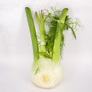 Fennel ( 茴香) [~700g]