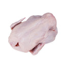 Chicken Whole (整只鸡) (1.2kg)