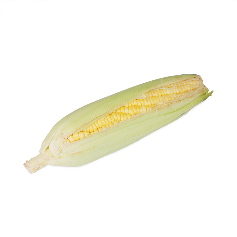 Sweet Corn (玉米)  (2pcs)