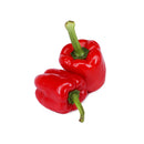Red Capsicums (红灯笼椒) [~300G]