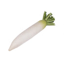 White Radish (白萝卜)