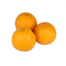 Orange (橙) (4pcs)