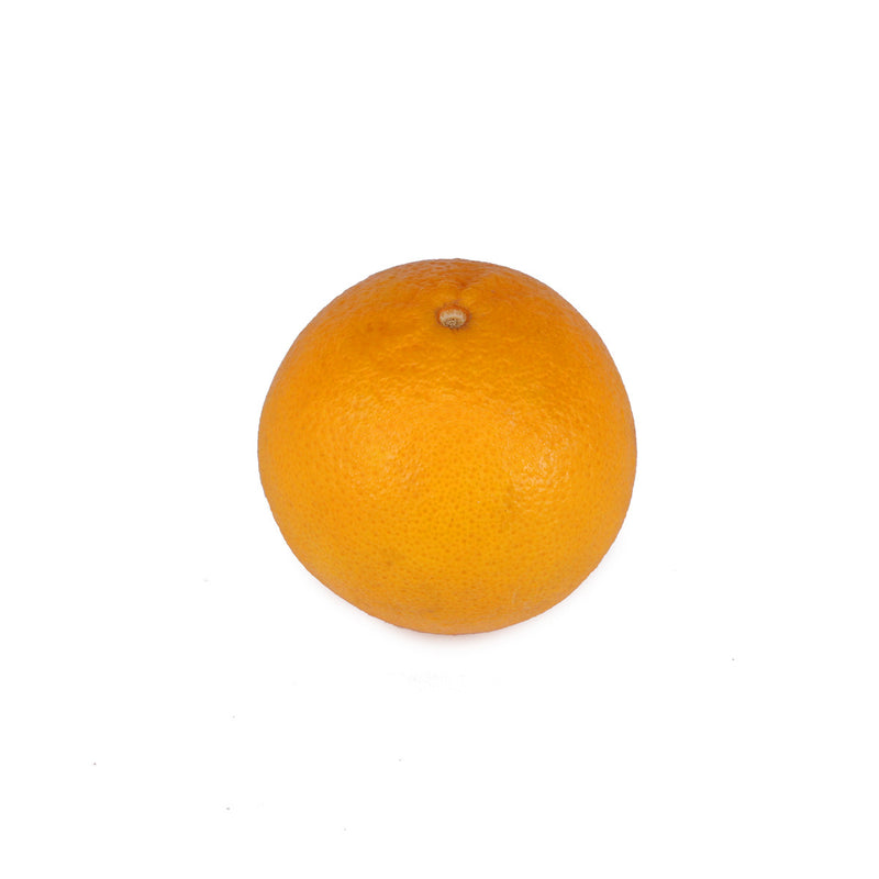 Orange (橙) (4pcs)
