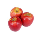Red Apple Large (大红苹果) (4pcs)