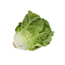 Romaine Lettuce [~250G]