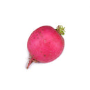 Red Radish [~200G]