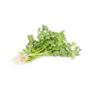 Coriander (芫荽) [~50g]