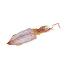 Dried Cuttlefish (100g)