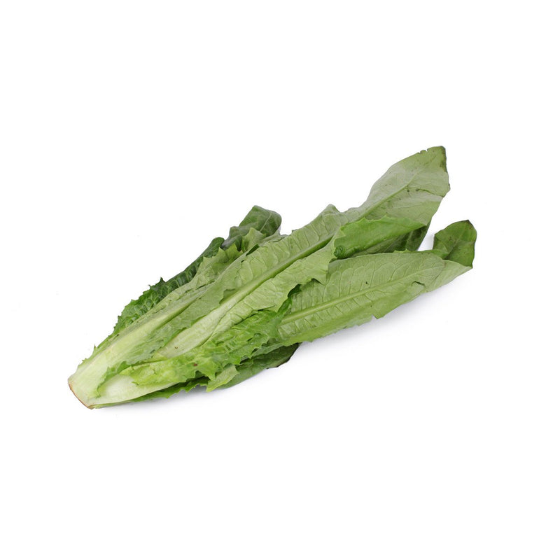 Indian Leaf Lettuce/Chinese Lettuce (油麦) [~500G]
