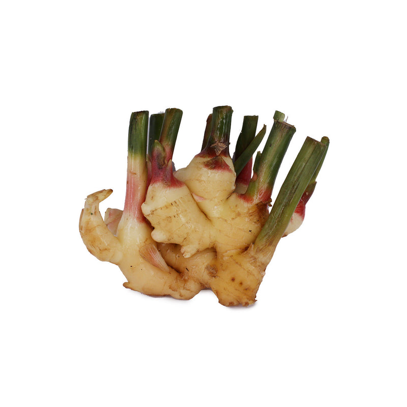 Ginger - Young (仔姜) [~250g]