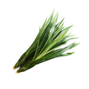 Pandan Leaves (班兰叶) [~150G]