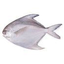 White Pomfret (300g)