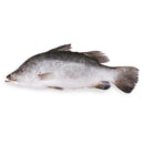 Sea Bass (600g)