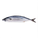Saba (500g)