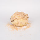 Lily Bulb (百合/龍牙百合)