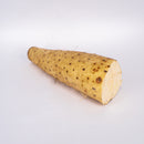 Japanese Huai Shan (長芋) [~500G]