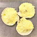 Scallop With Cheese (6pcs)