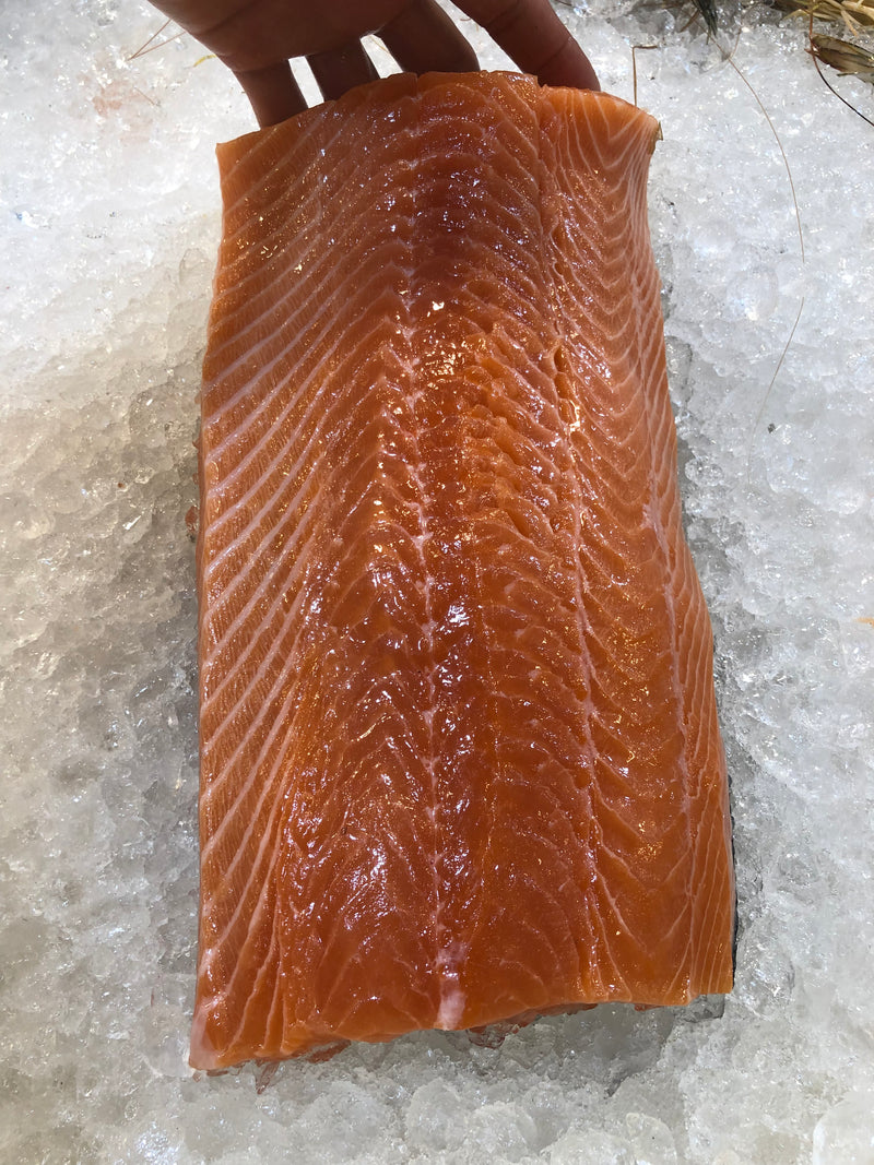 Salmon Fillet Whole Slab 1.2~1.3kg