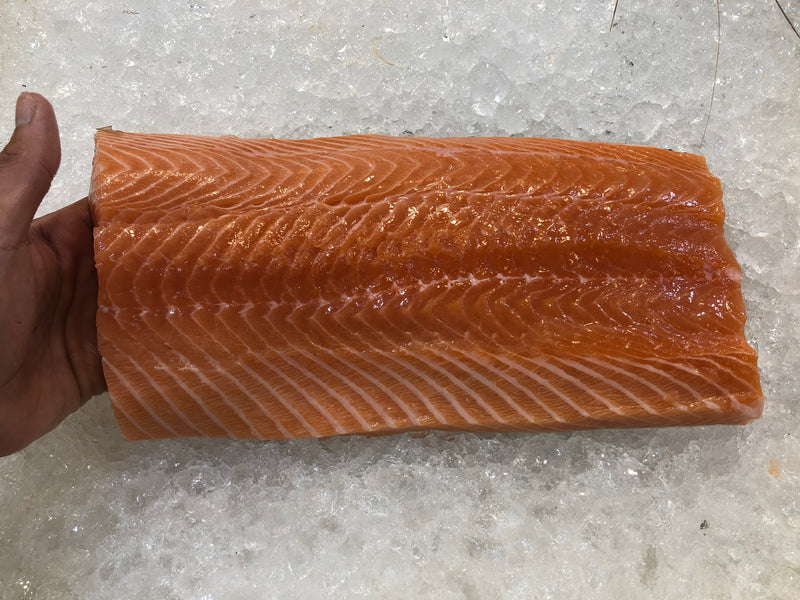 Salmon Fillet Whole Slab 1.2~1.3kg