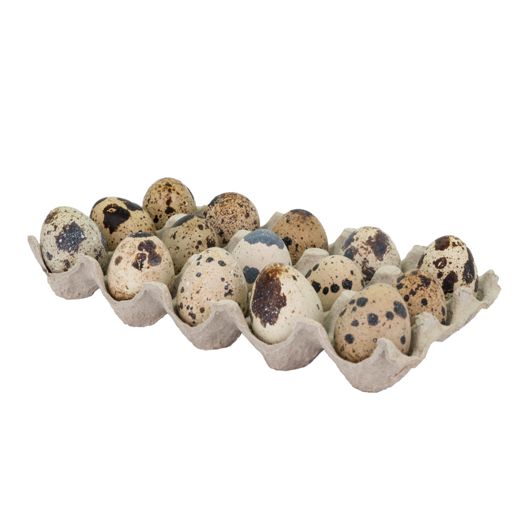 Quail Eggs (15 pcs)