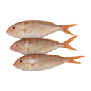 Baby Sea Bream (500G)