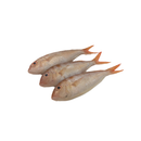 Baby Sea Bream (500G)
