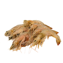 Big AngKa Prawns (500G)