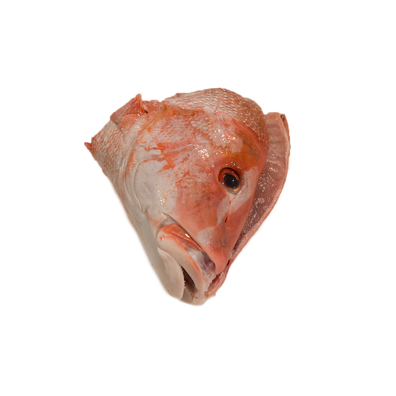 Red Emperor Fish Head