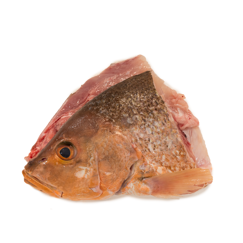 Red Snapper Fish Head