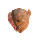 Red Snapper Fish Head