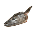 Spanish Mackerel Head (Batang Fish Head)