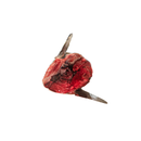 Spanish Mackerel Head (Batang Fish Head)