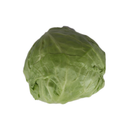 Beijing Cabbage [~800G]