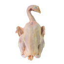 Kampong Chicken (甘榜鸡) (Whole) (~1.2KG)