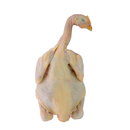 Kampong Chicken (甘榜鸡) (Whole) (~1.2KG)