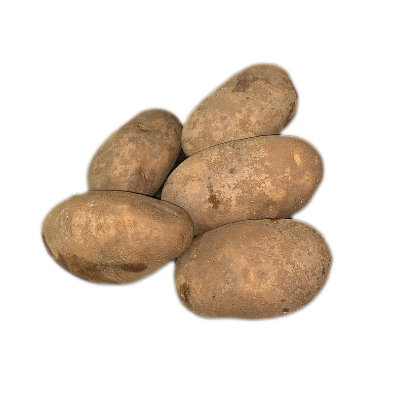 Russet Potato [~1KG]