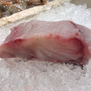 Giant Grouper Fillet 375g (龙趸)