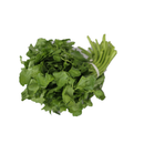 Watercress