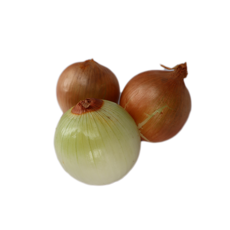 Yellow Onion [~350G]