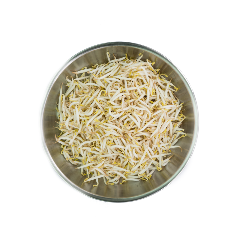 Bean Sprouts (豆芽)