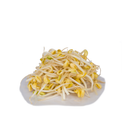 Big Beansprouts (250g) (黄豆芽 / 大豆芽)