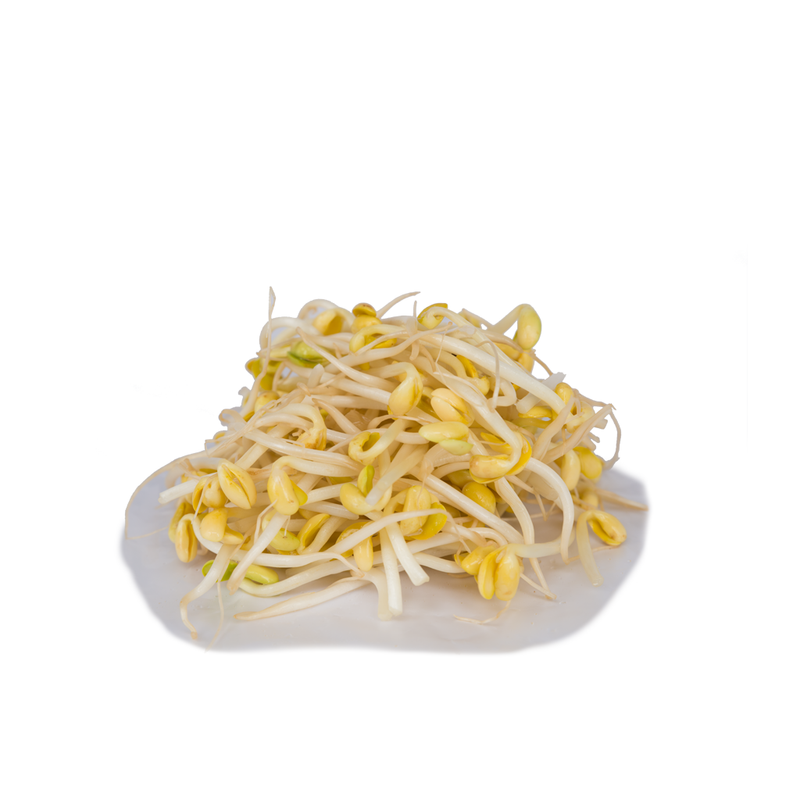 Big Beansprouts (500g) (黄豆芽 / 大豆芽)